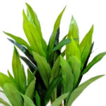 Artificial Dracaena Plant with Pot (3 ft)