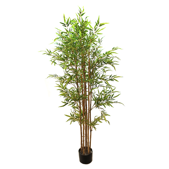 Natural Bamboo Plant With Artificial Leaves(6 ft)