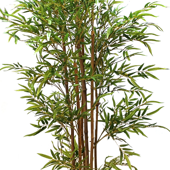 Natural Bamboo Plant With Artificial Leaves2(6 ft)
