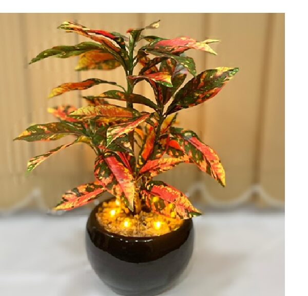 Elen Artificial Croton Bonsai Plant