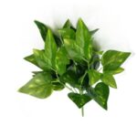 Artificial Money Plant