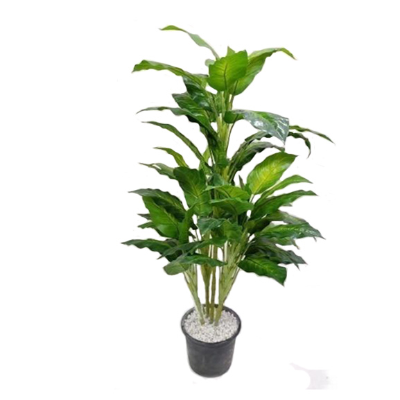 Artificial Fiddle Plant