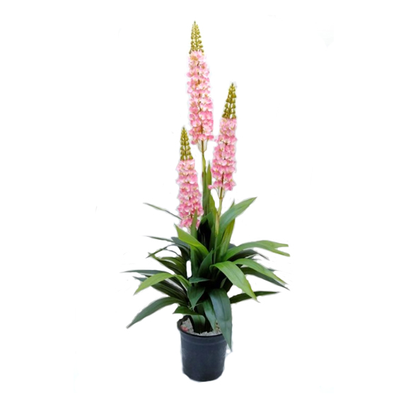 Artificial Sword lilly Plant 4.5 ft