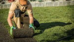 Artificial Grass Pros and Cons Everyone Should Consider