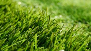 Artificial Grass Pros and Cons Everyone Should Consider