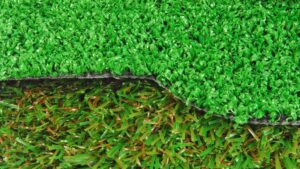 Artificial Grass Pros and Cons Everyone Should Consider