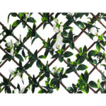 UV Protected Gardenia Leaves with White Flower