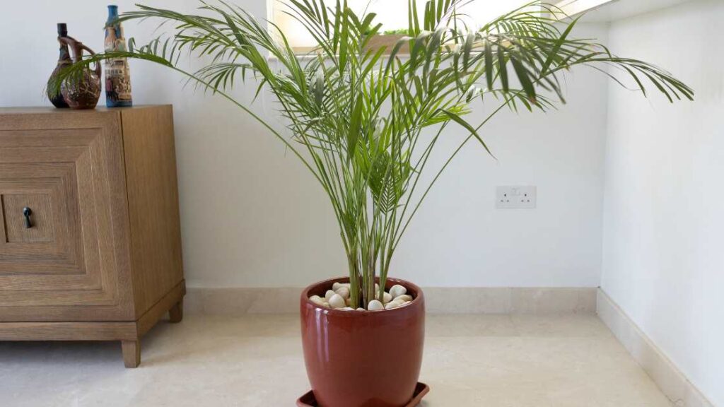 Stylish Ways to Embrace the Bamboo Trend in Your Home
