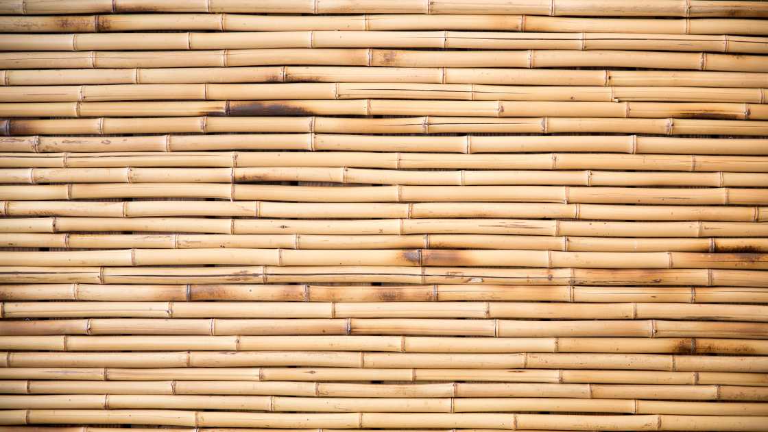 Stylish Ways to Embrace the Bamboo Trend in Your Home
