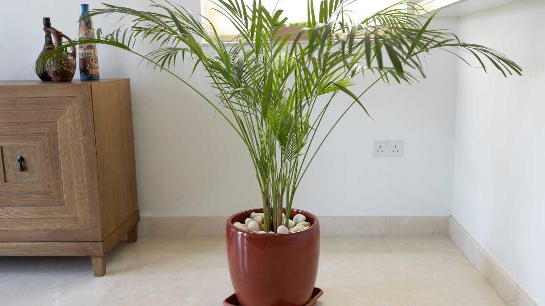 Why Artificial Bamboo Plants Are Becoming the Hottest Home Decor Trend