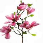 Artificial Magnolia Flower