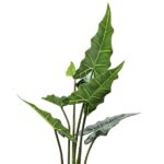 Artificial Alocasia Plant 3 ft