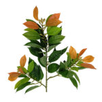 EL23-YX-024_3