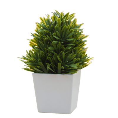 Untitled-design-96.png Untitled-design-96.png